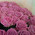 Chic bouquet of pink roses 3