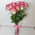 15 original roses 12
