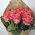 15 peach roses Miss Piggy 5