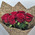 7 red roses 3