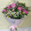 White and pink bouquet 1
