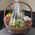 Large basket of fruit 7