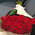 Large bouquet of roses in Cherkassy 6