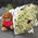 Bouquet of 100 white roses and 1 red rose 2