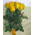 Bouquet of 11 yellow roses 1