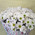 Bouquet of 15 daisy chrysanthemums 2