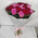 Bouquet of pink and red roses 1