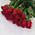 Bouquet of roses Freedom 1