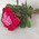 Heart of roses bouquet 3
