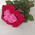 Heart of roses bouquet 4
