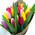 Bouquet of spring tulips 3