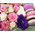 Flowers and macaroons in a rectangular box 4