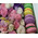 Flowers and macaroons in a rectangular box 5