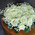 Flowers in the form of heart with white roses 2
