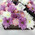 Flowers, wine and macarons in a box 3