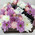 Flowers, wine and macarons in a box 7