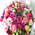Enchanting bouquet 11
