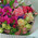 Enchanting bouquet 9