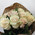 Cascade bouquet of 11 cream roses 2