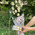 Cascade bouquet of 11 cream roses 5