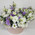 Mixed bouquet of eustomas in a box 2