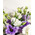 Mixed bouquet of eustomas in a box 5