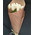 Inexpensive bouquet of white tulips 2