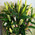 Charming bouquet of lilies 3