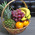 Popular fruit basket 7
