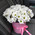 Chamomile chrysanthemums in a box 1