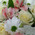 Heart of flowers in a box 4