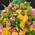 Strict bouquet of roses, alstromeries and chrysanthemums 2