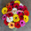 Bright basket of colorful gerberas 1