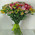 Bright bouquet of alstroemerias 1