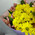 Yellow and orange flowers in a bouquet 4