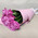 11 pink roses in paper 4