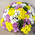 35 spray chrysanthemums 2