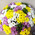 35 spray chrysanthemums 3
