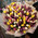 Bouquet of 151 tulips 1