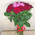 Heart of roses bouquet 7