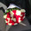 Wonderful bouquet of 51 roses 1