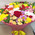 Enchanting bouquet 13