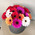 Gerberas in the box 7