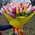 A beautiful bouquet of 101 tulips 1