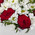 Heart flowers 3