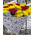 Bright bouquet of roses and chrysanthemums 1