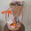 Gift basket with citrus 8