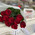 11 roses and Raffaello 1