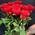 Bouquet of roses and Raffaello 2