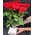 Bouquet of roses and Raffaello 3